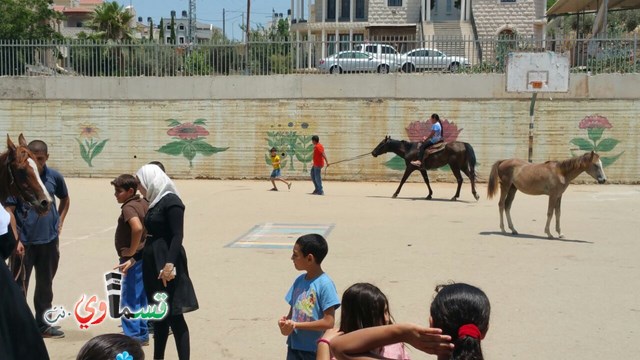 كفرقاسم - فيديو  : تعليم هواية ركوب الخيل في مدرسة جنة ابن رشد في اليوم الرابع لصيف الصادقة 